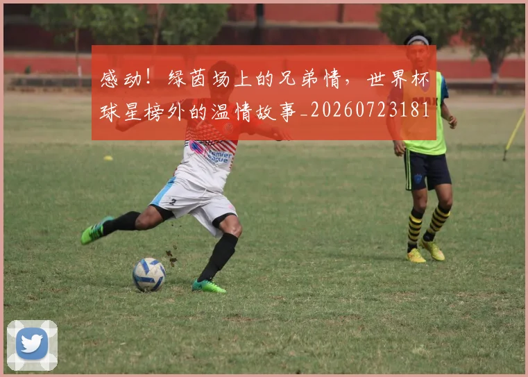 感动!绿茵场上的兄弟情,世界杯球星榜外的温情故事_20260723181312