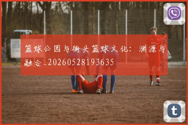篮球公园与街头篮球文化:渊源与融合_20260528193635